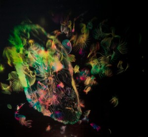 2013_Hyperobject-Homeland