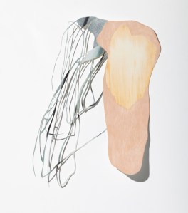 Anie Nheu_Strung with promises_2012_77.5 x 68 cm