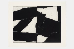 Damian Moss low res blog