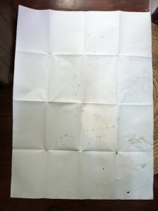 Julie Gough photo blog