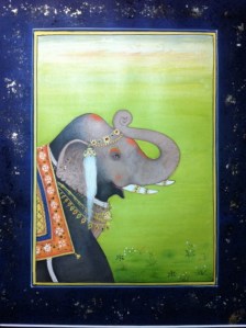 Class image Elephant