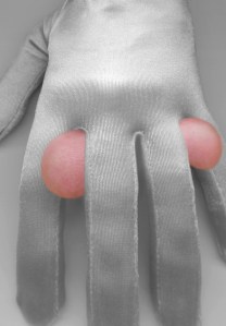 Fresh Fruit '06 86 x59 blog