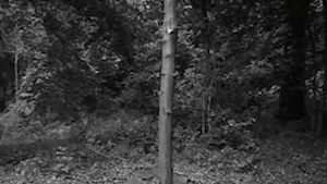 Jacek Screen Shot 2014-10-24 at 12.28.35 pm