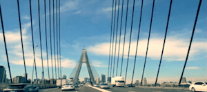 Phoebe Screen Shot 2014-10-24 at 3.56.20 pm