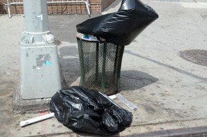 Rafaela Pandolfini Wind Still