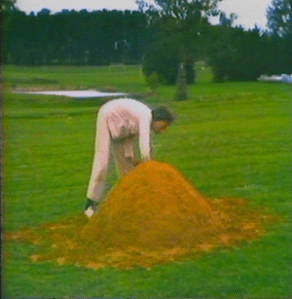 Screen Shot 2014-11-19 at 10.38.14 am