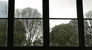 Sue P Screen Shot 2014-10-30 at 7.55.56 pm