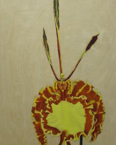 Butterfly-Orchid,-2014,-oil on board,-25x20cm copy