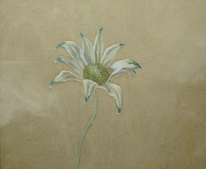 Flannel-Flower,-2014,-oil-on-board,-25x30cm copy