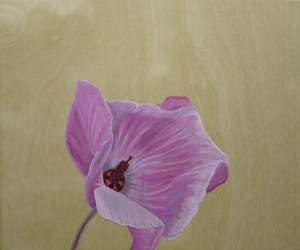 Hibiscus,-2014,-oil-on-board,-25x30cm copy
