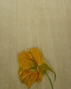 Nasturtium,-2014,-oil-on-board,-25x20cm copy