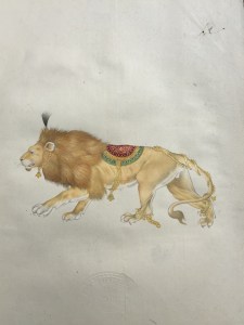 Ajay Sharma Lion.Sally  copy