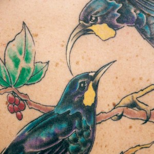 Call of the Wild (ii) copy