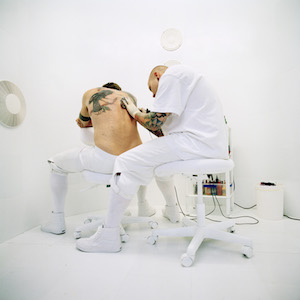 Call of the Wild (iii) copy