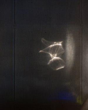 screen-memories-2-W copy