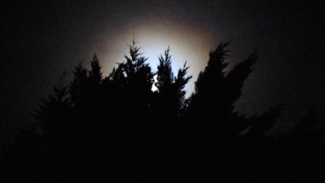 MIlls, J A Narrative Untitled still from video SOLO copy