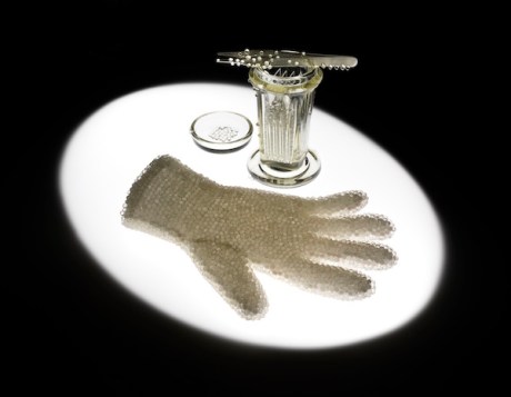 C.Truman_Cell Culture_glove copy 2