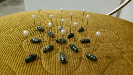 AnastassiaKouxenko-image