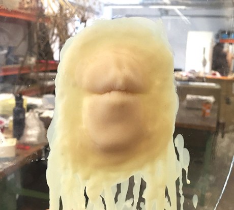 ScarlettSteven-image