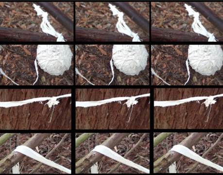 SBL_laytracetriple_72dpi_1134