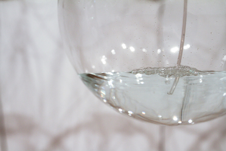 01 LWoodward Writhe Detail 01 copy