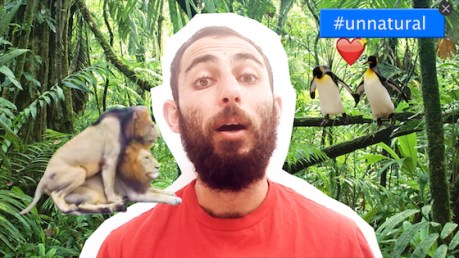 still-from-worse-than-animals-hd-video-loop-with-sound-2016